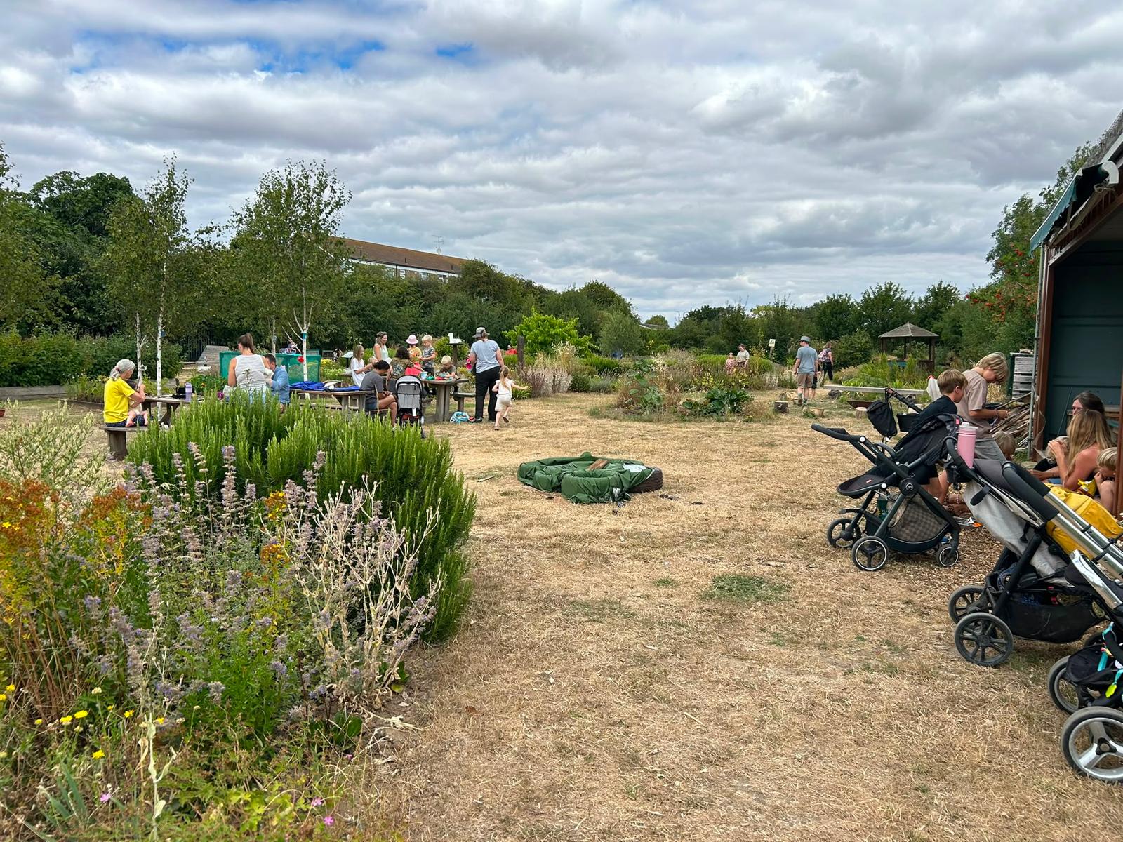 Trust Links Forest School Shoebury Summer 2026 - image 5