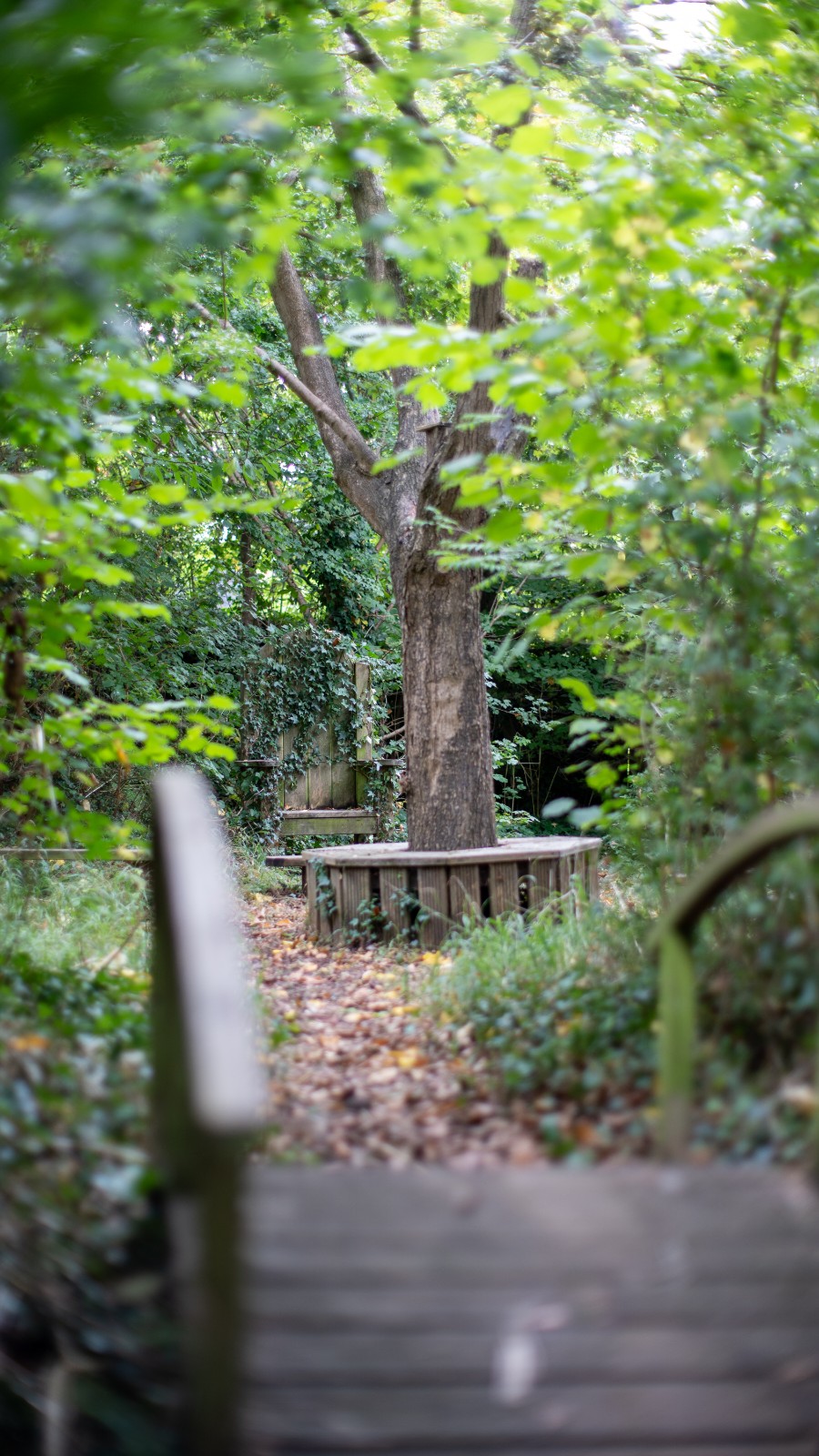 Little Acorns Forest School - Toddler Sessions - image 2