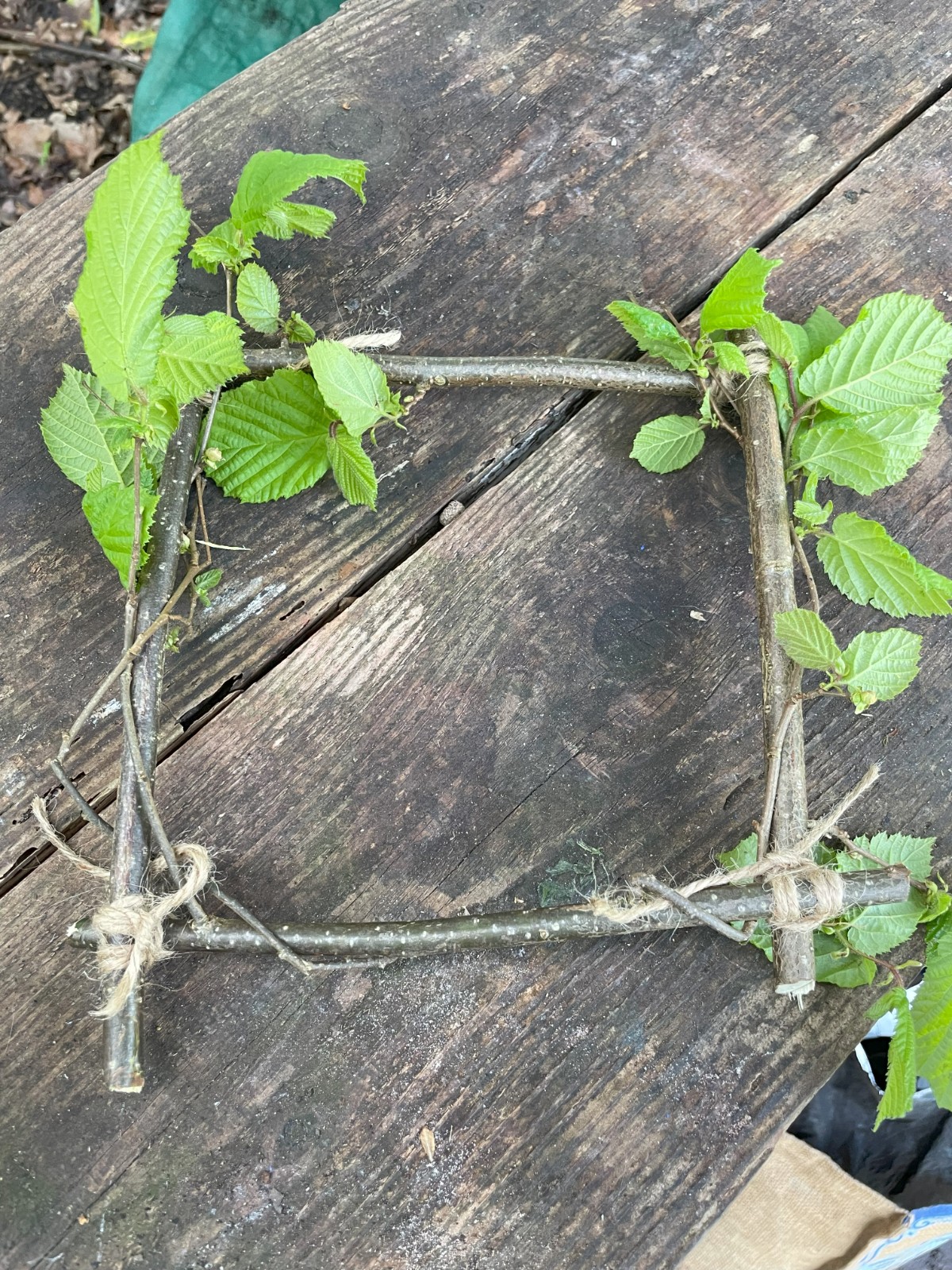 Acorn Hollow - Saplings - Wood craft skills - image 10