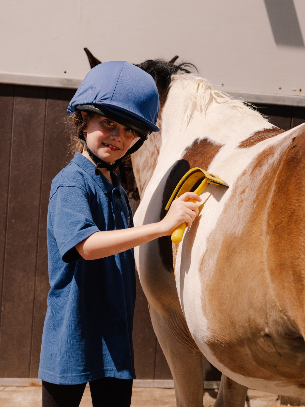 HAF Pony Camp - image 2