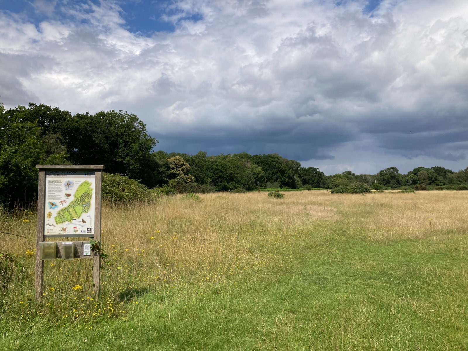 Mindful Nordic Walking and Forest Bathing - image 7