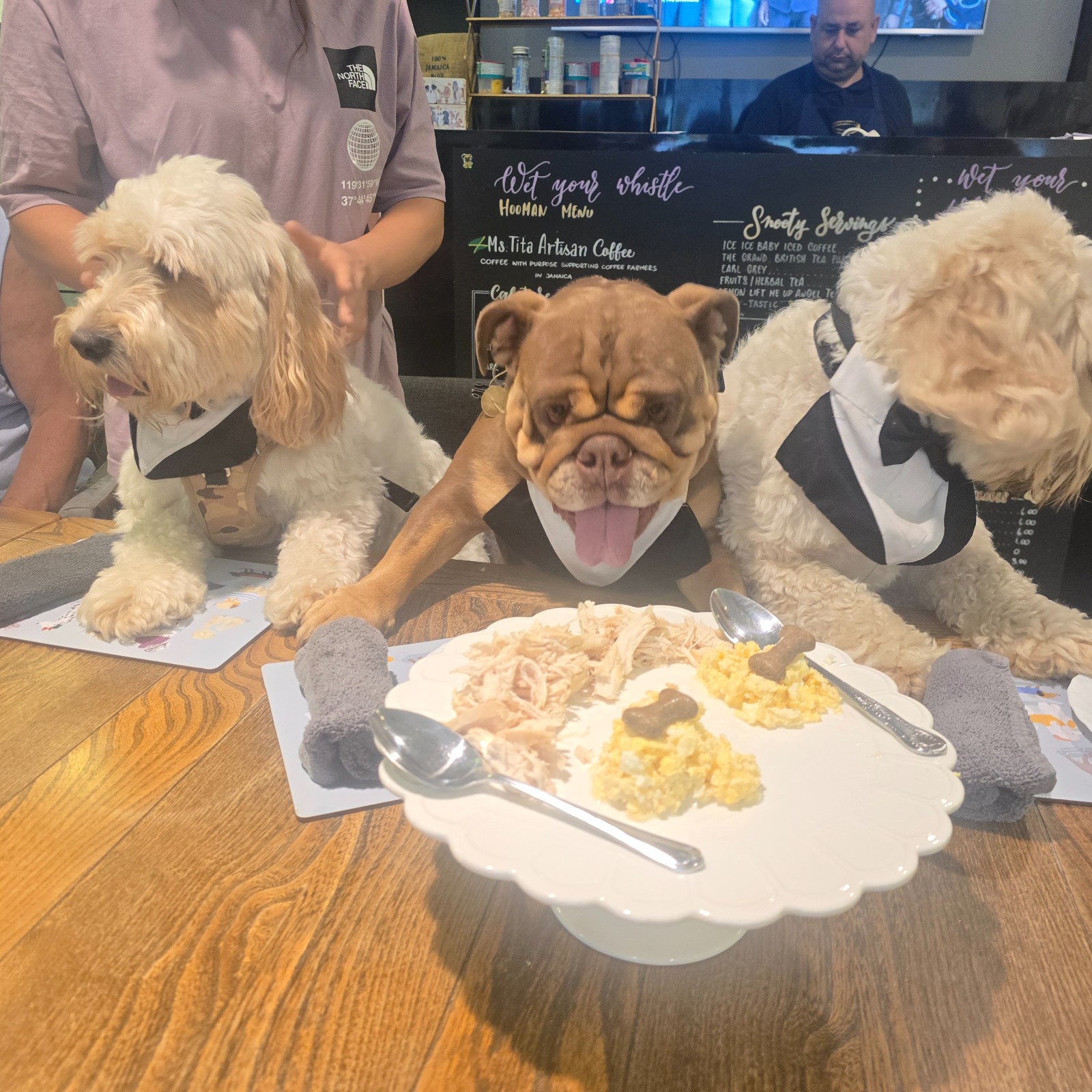 The Dog Squad Summer (HAF) - image 9