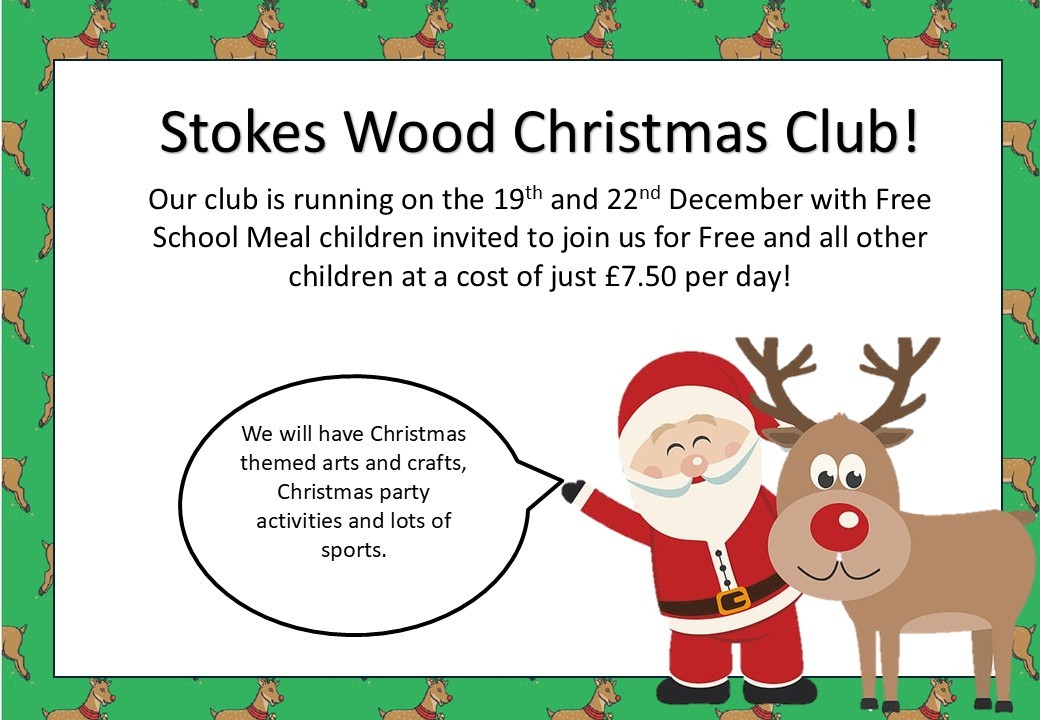 Stokes Wood Primary School - HAF - image 4