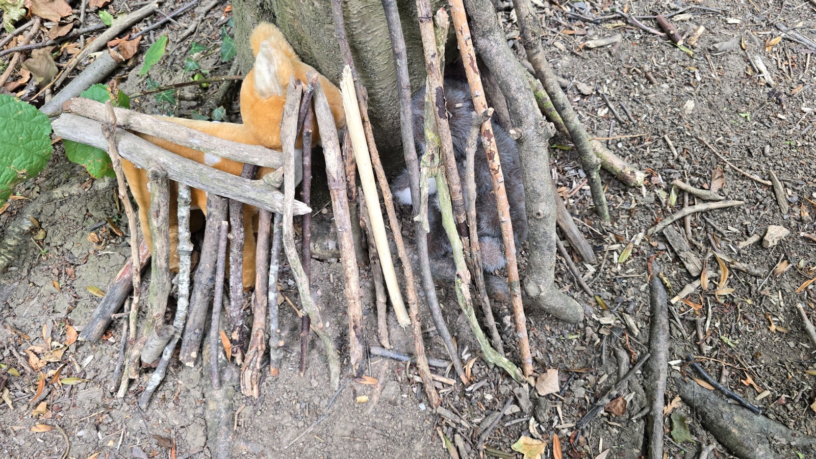 Friday Forest School - image 8