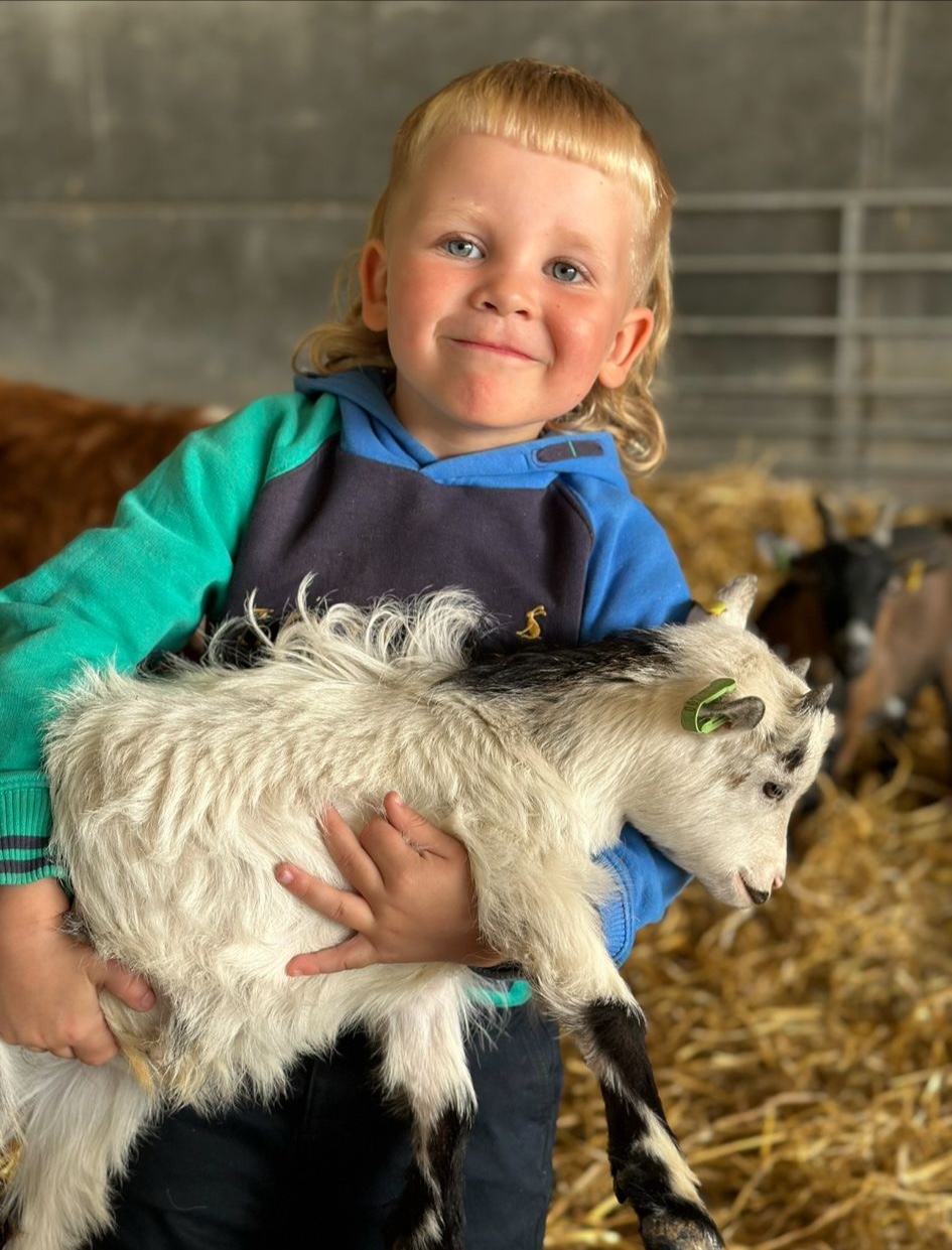 LittleFarmers' Fun & Food - image 3