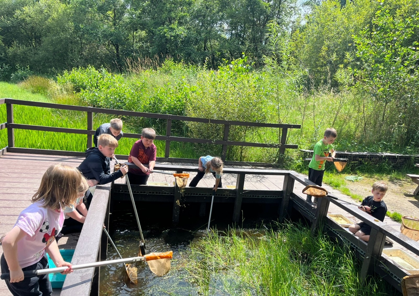 Watchtree Woodland Sessions - image 4