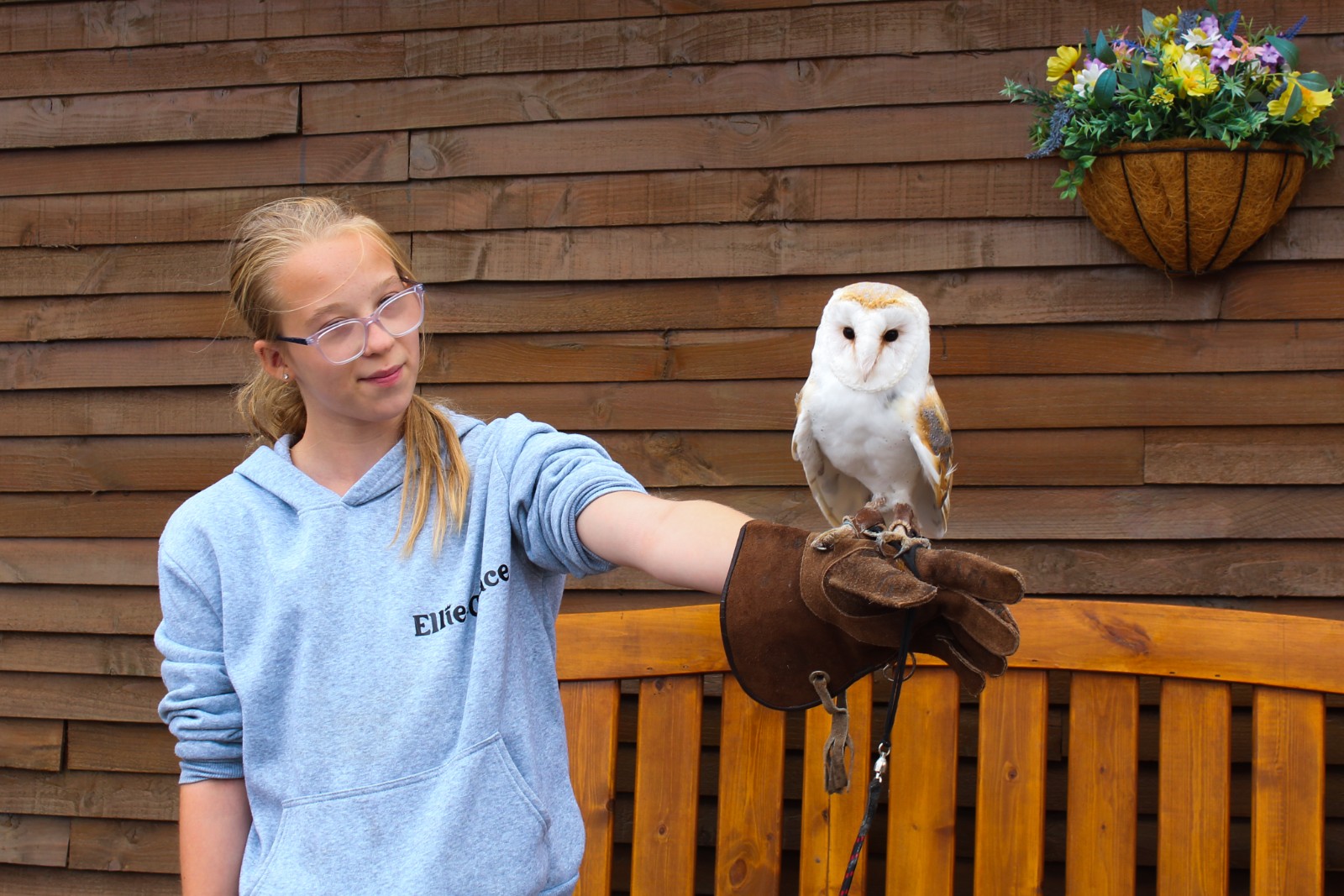 Zoe's Party Animals- Holiday club- Inc HAF - image 7