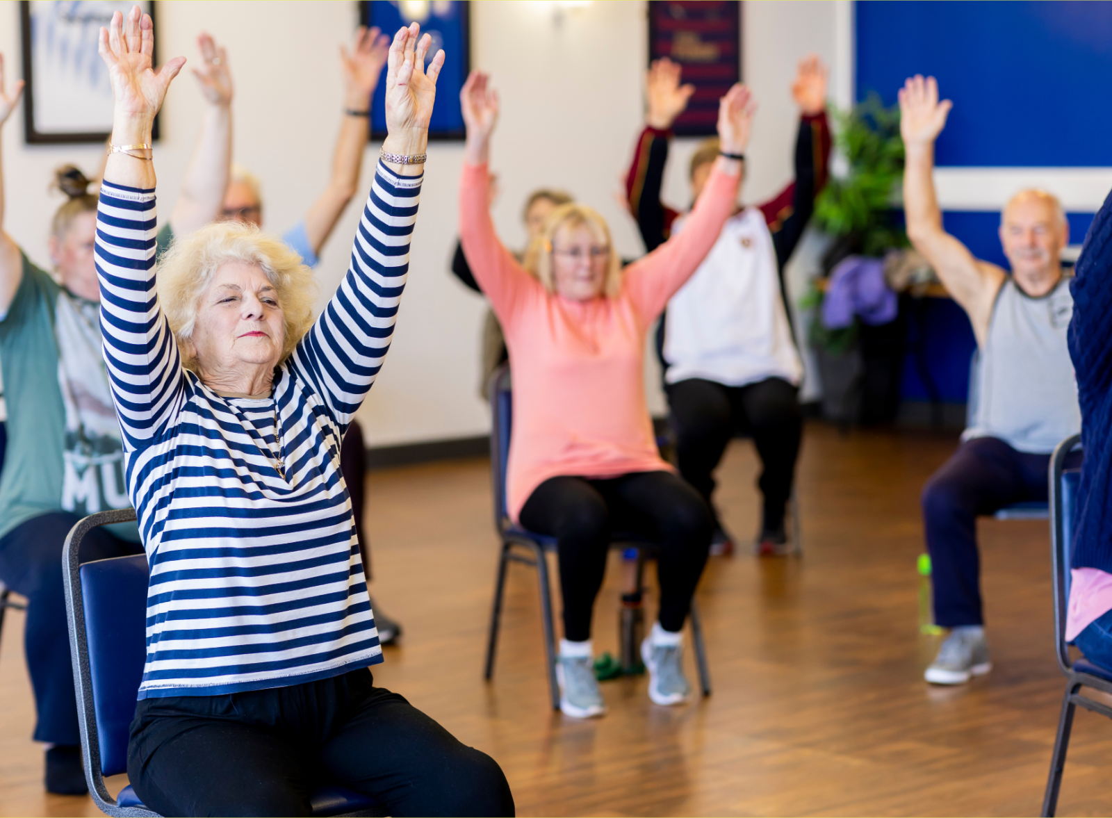 Seated Strength block mentored by 20/20 Health