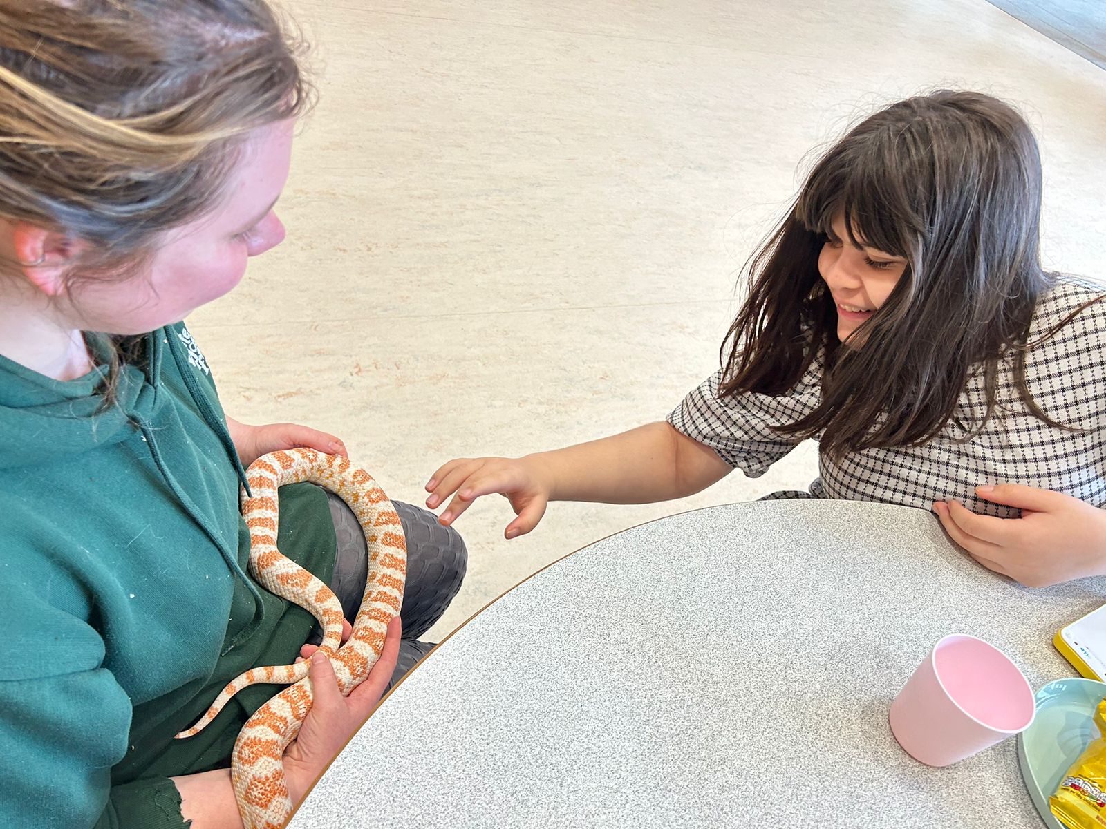 Bilborough Sports Centre - image 13