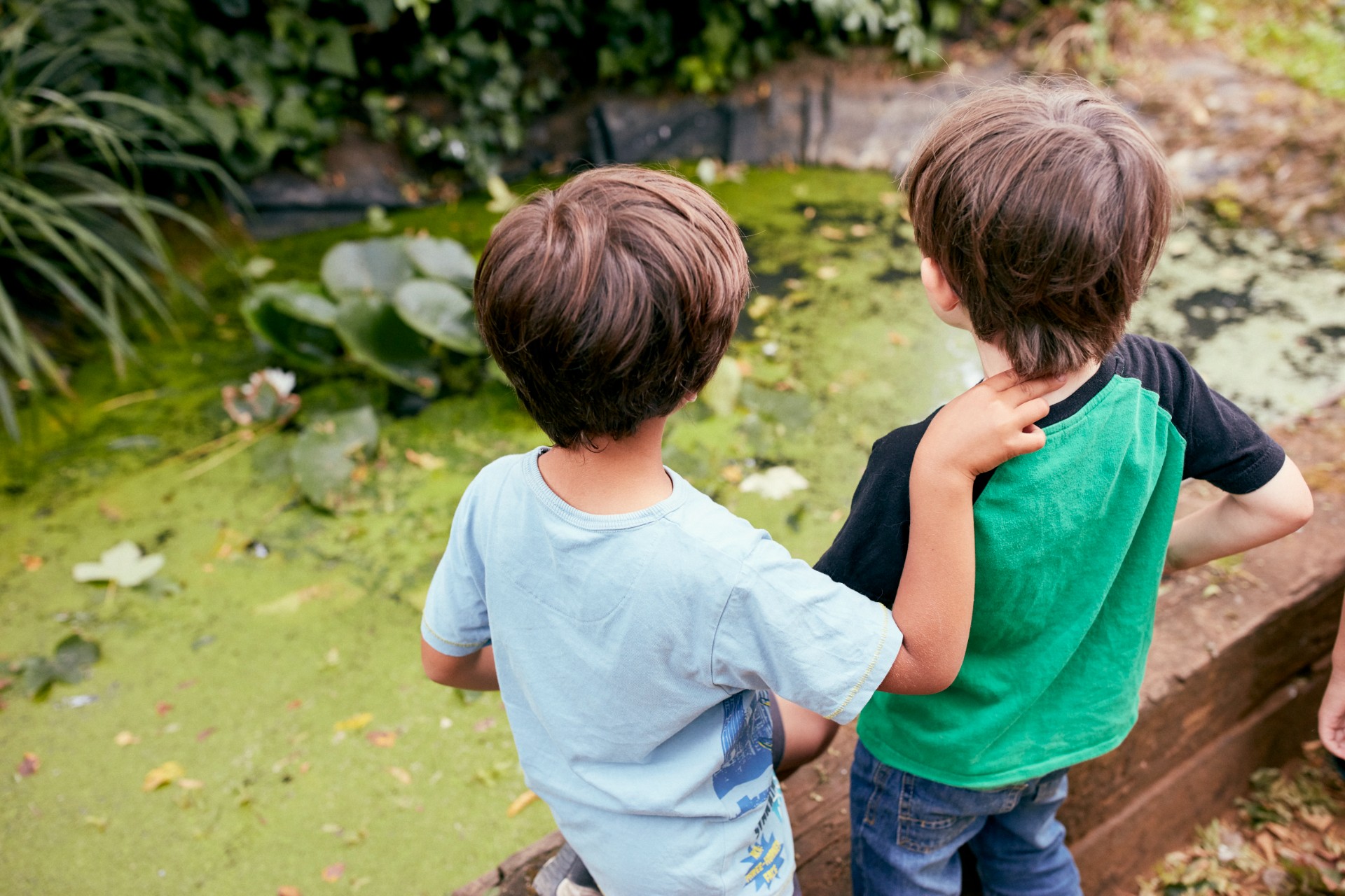 Oasisplay Nature Garden - image 4