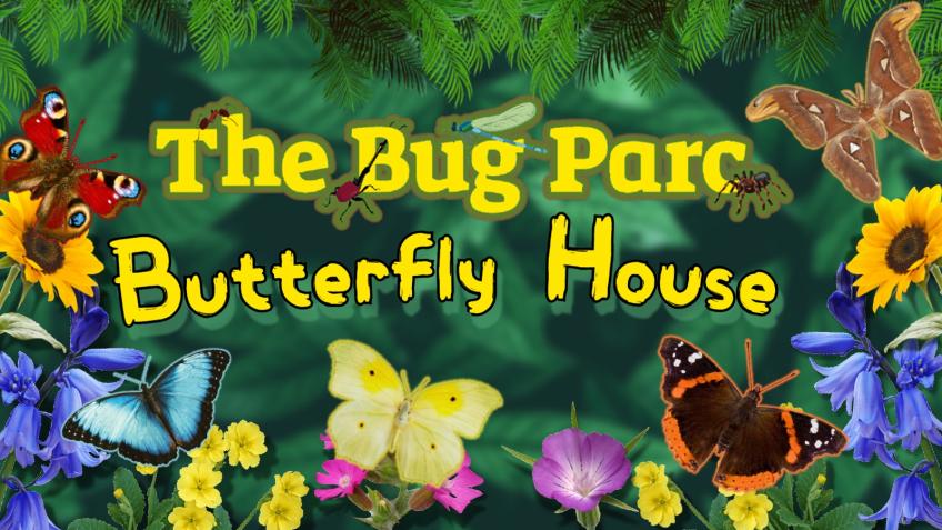 Minibus Trip to Bug Parc! - image 2