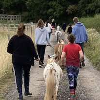 Holiday animal club (ECHP+) ✨ - image 2