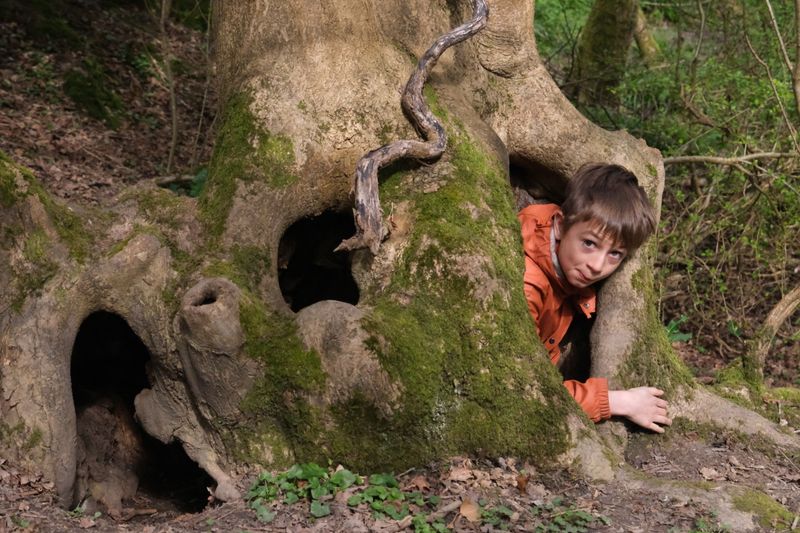 Lymley Forest School - image 9