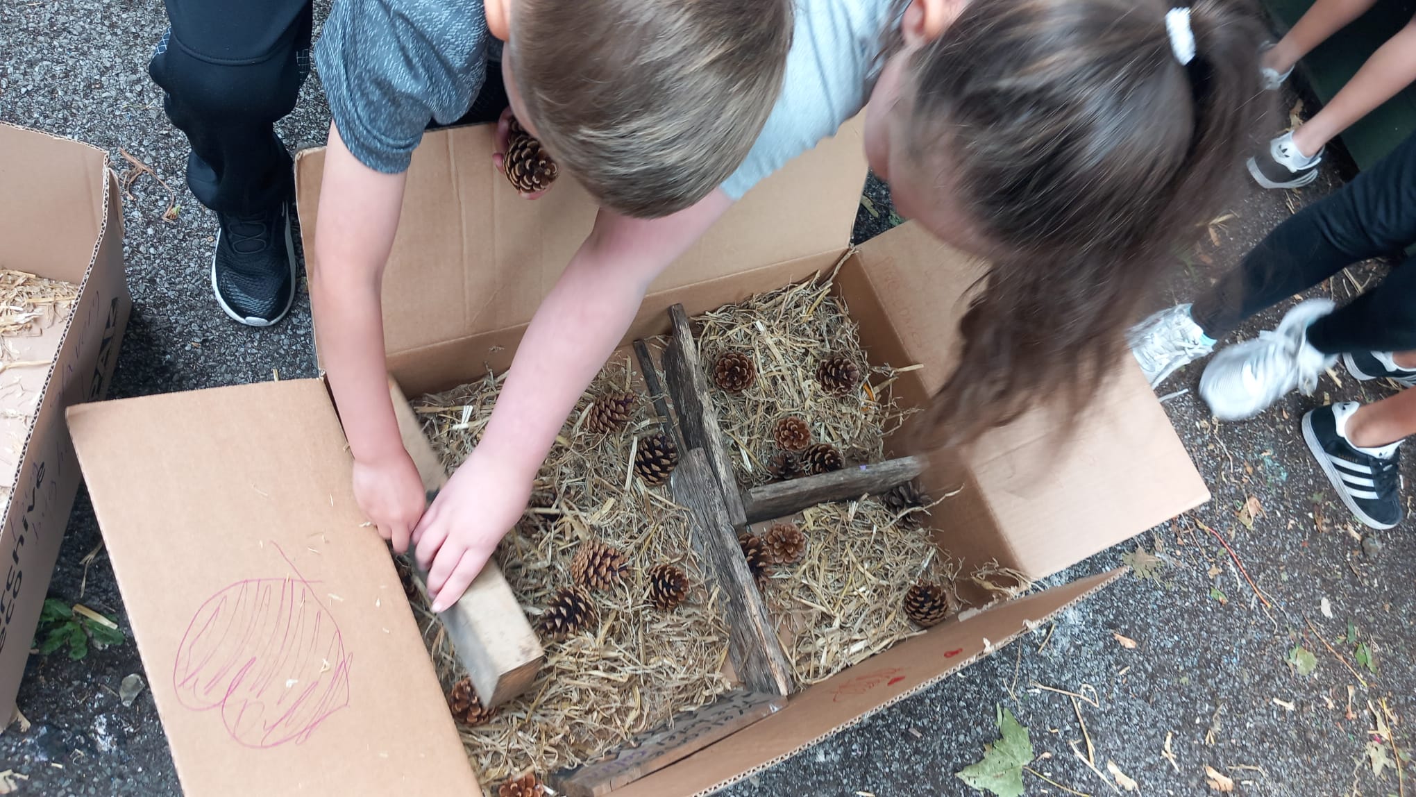 Capoeira Easter HAF Camp - image 4