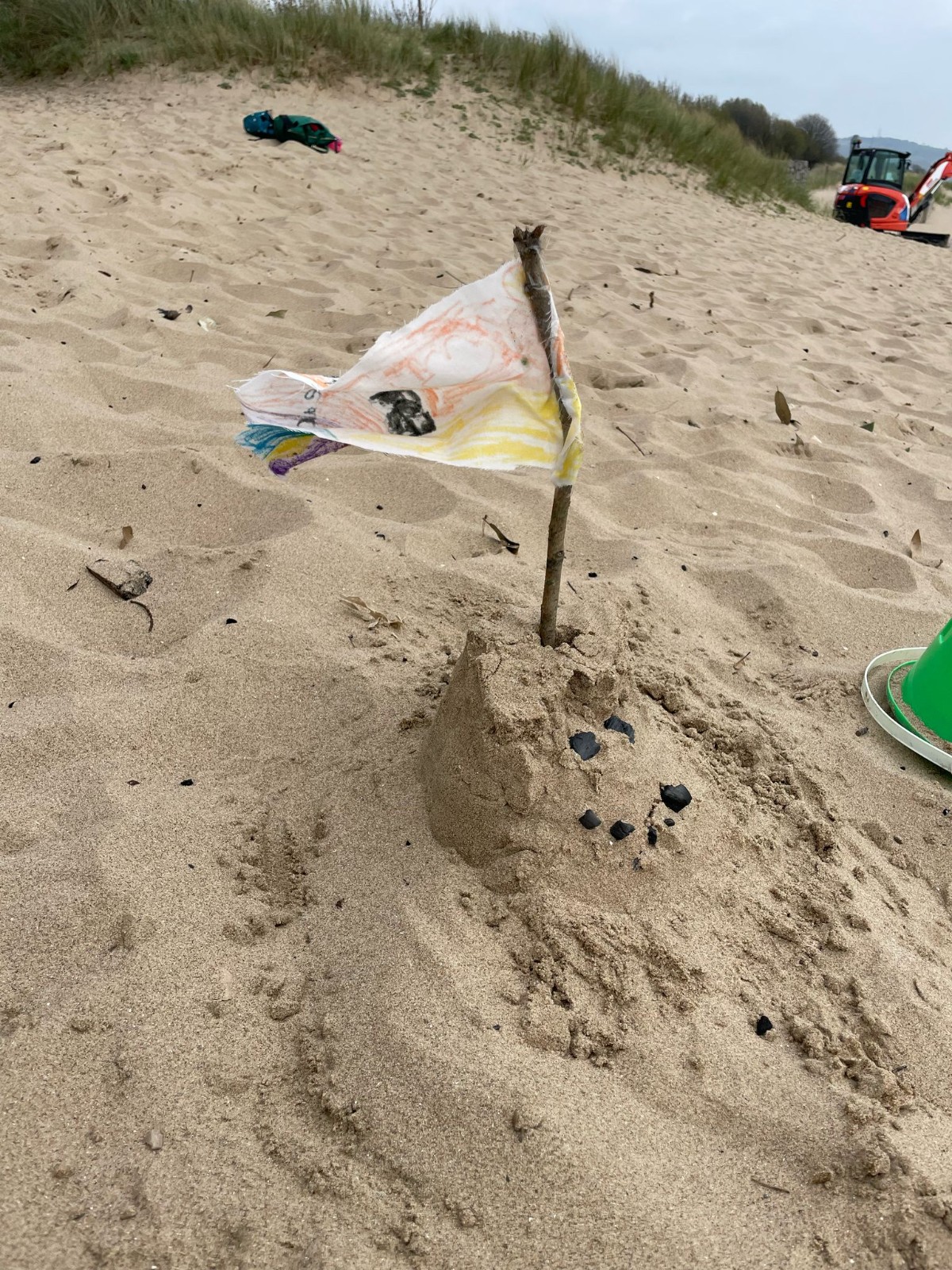 City Nature Challenge - image 3