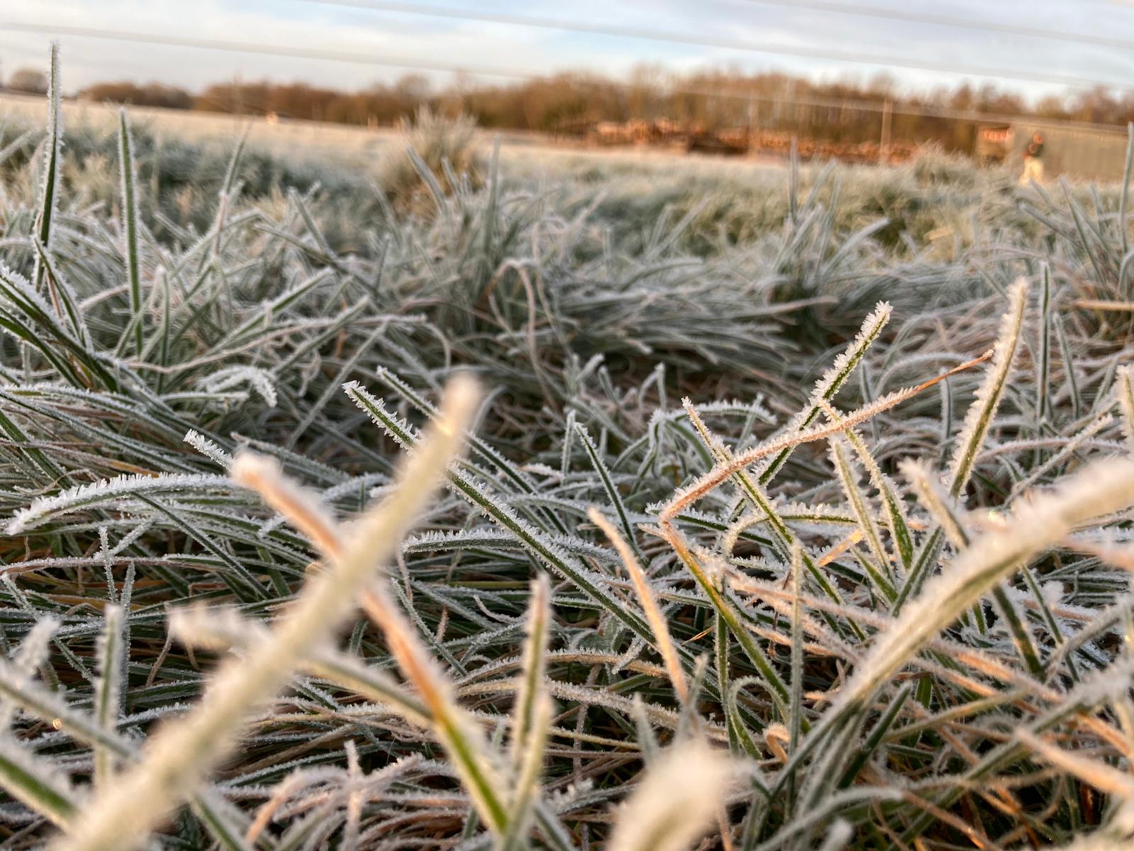 Surrey Hills & Rivers Holiday Camp - image 2