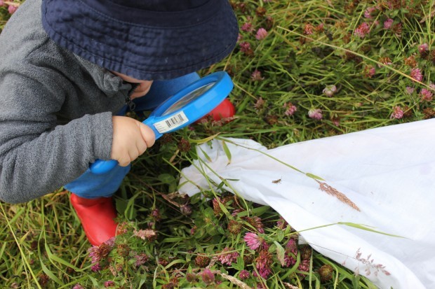 Easter Wildfamilies at Hem Heath Woods - image 3