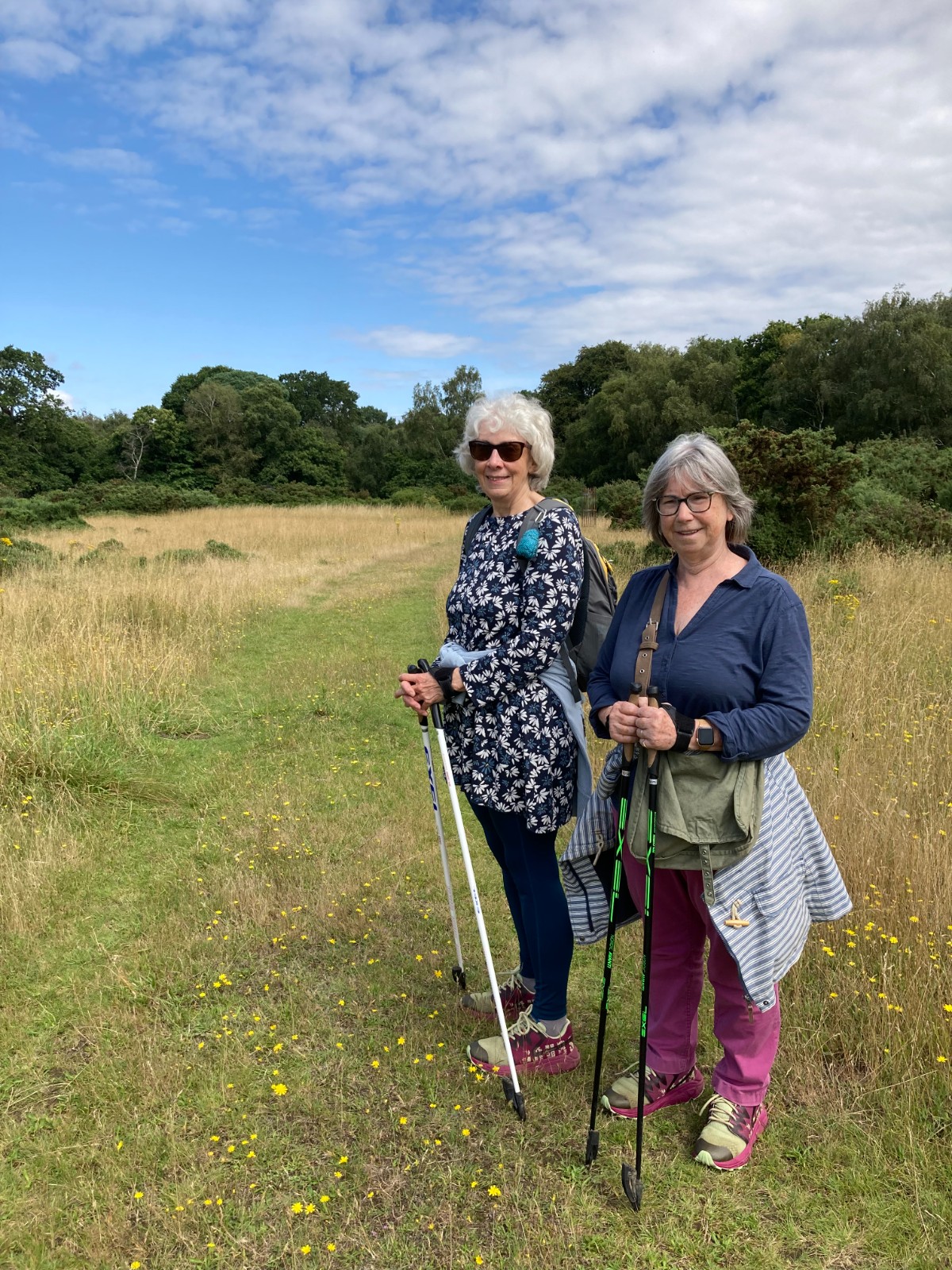 Mindful Nordic Walking and Forest Bathing - image 8