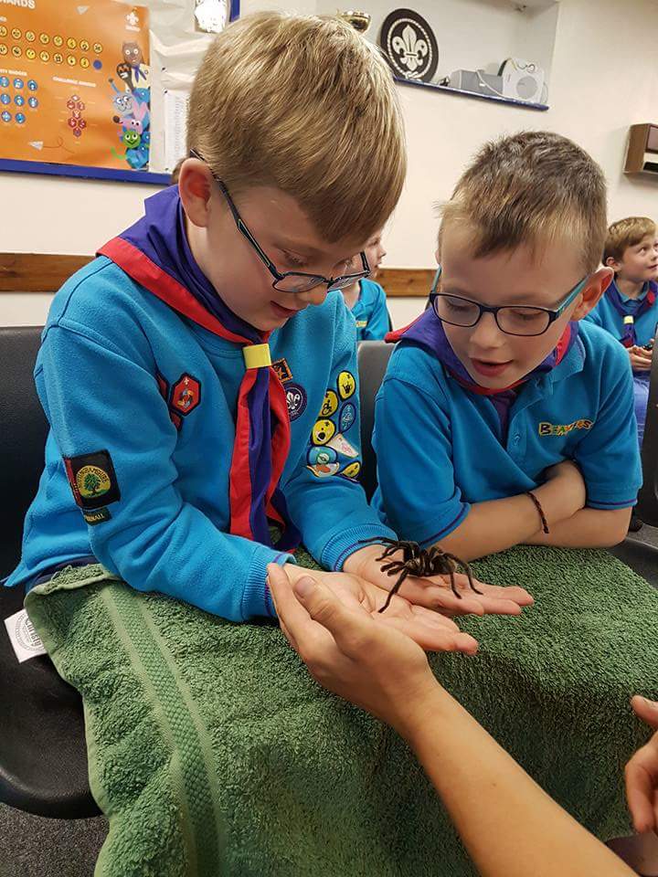 Zoe's Party Animals- HAF holiday club - image 7