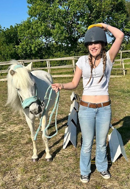 Wight Horse CIC HAF Equine Activities - image 8