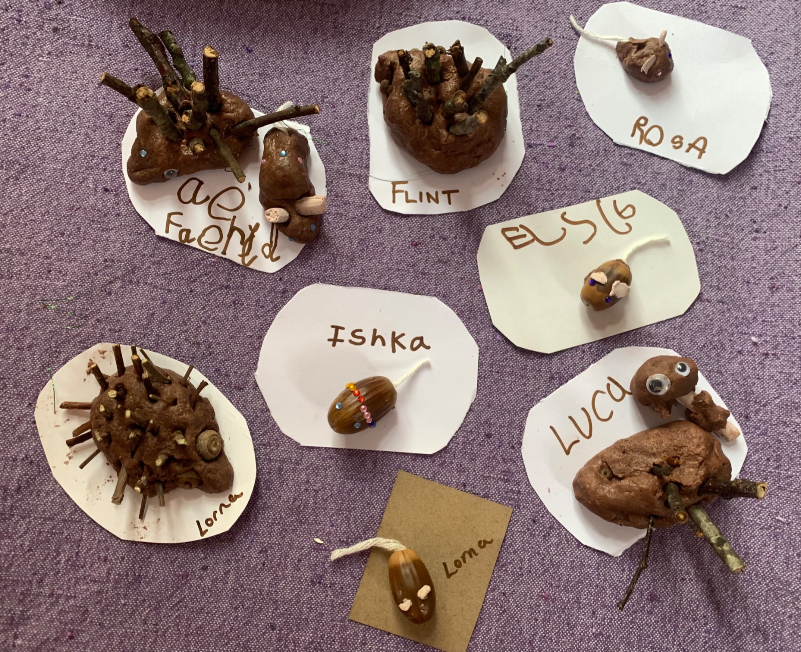 Fungi, Fire and Family Fun! - image 18