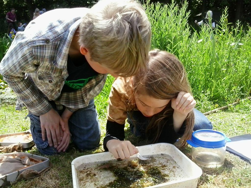 Pond Explorers Family Fun block mentored by Madley Environmental Centre