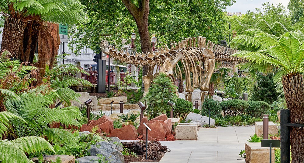 Natural History Museum Trip block mentored by Bonny Downs Community Association