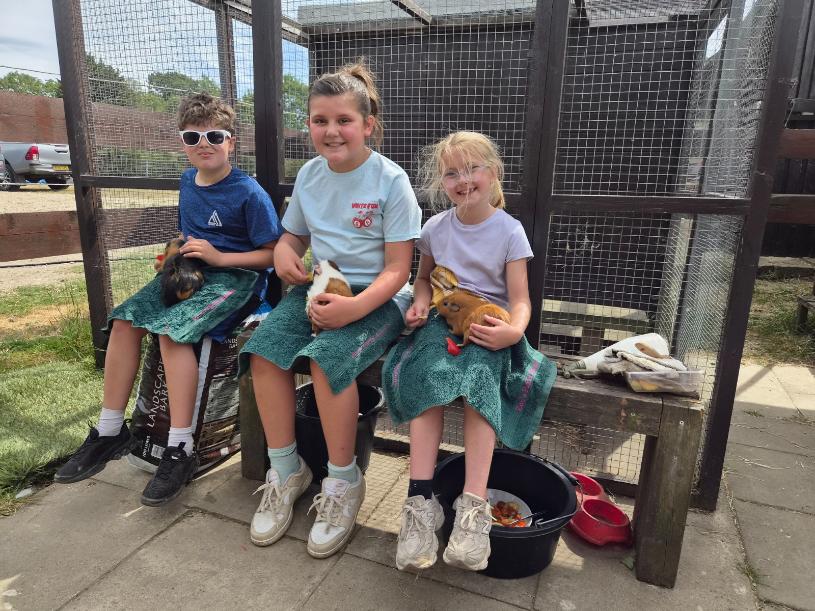 Zoe's Party Animals- Holiday club- Inc HAF - image 15