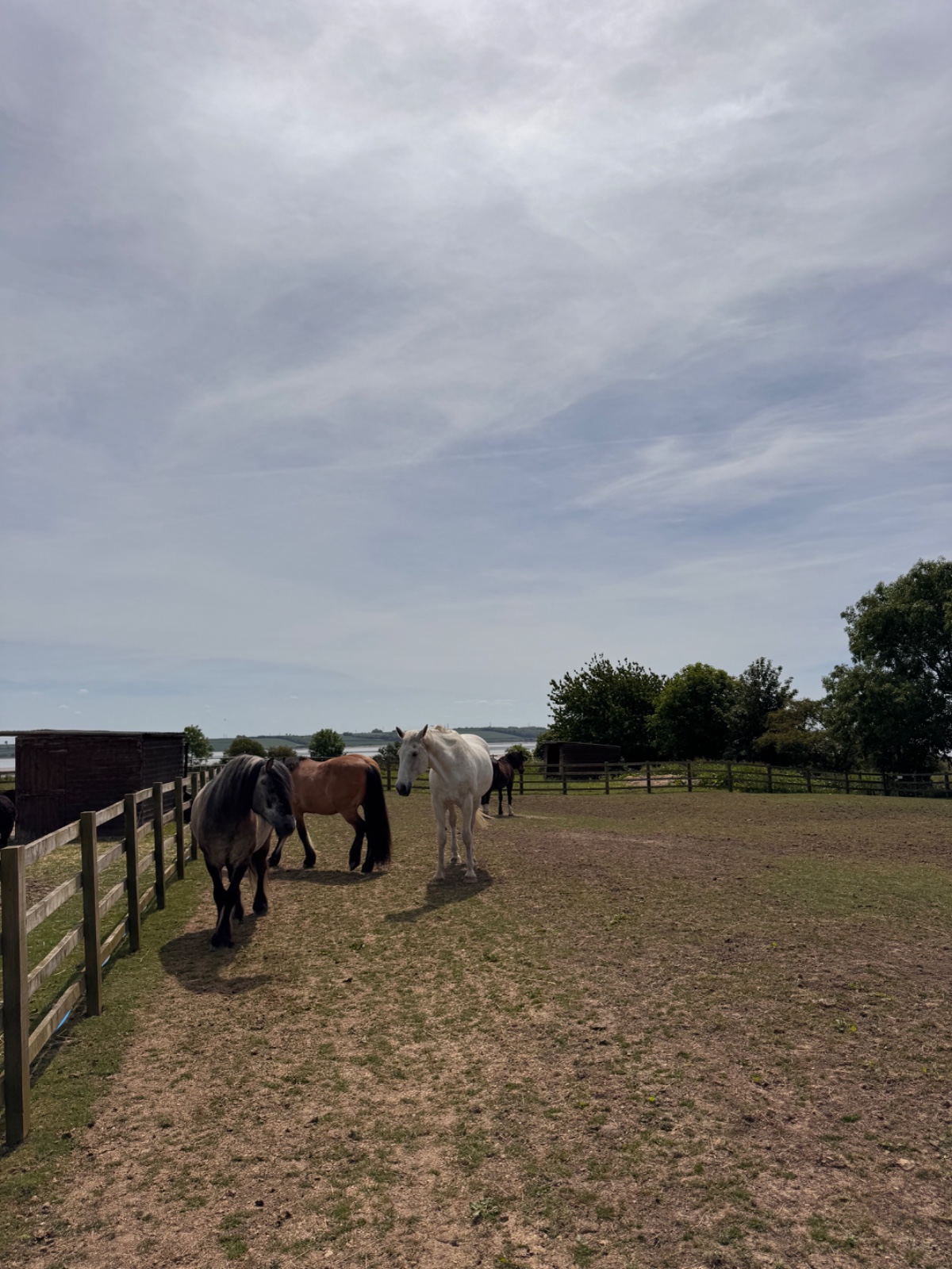SEND Animal Adventures @ North Ferriby - image 4