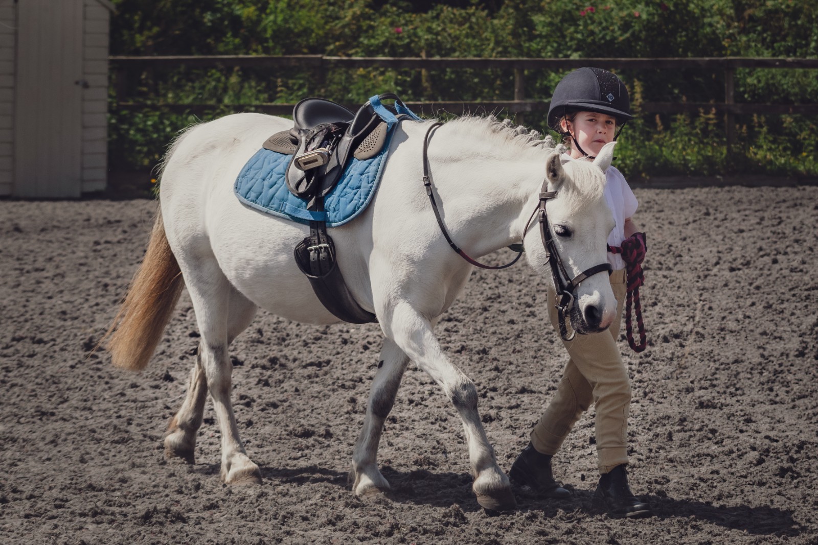 Horse & Pony Experience Day @Howden Equestrian - image 4