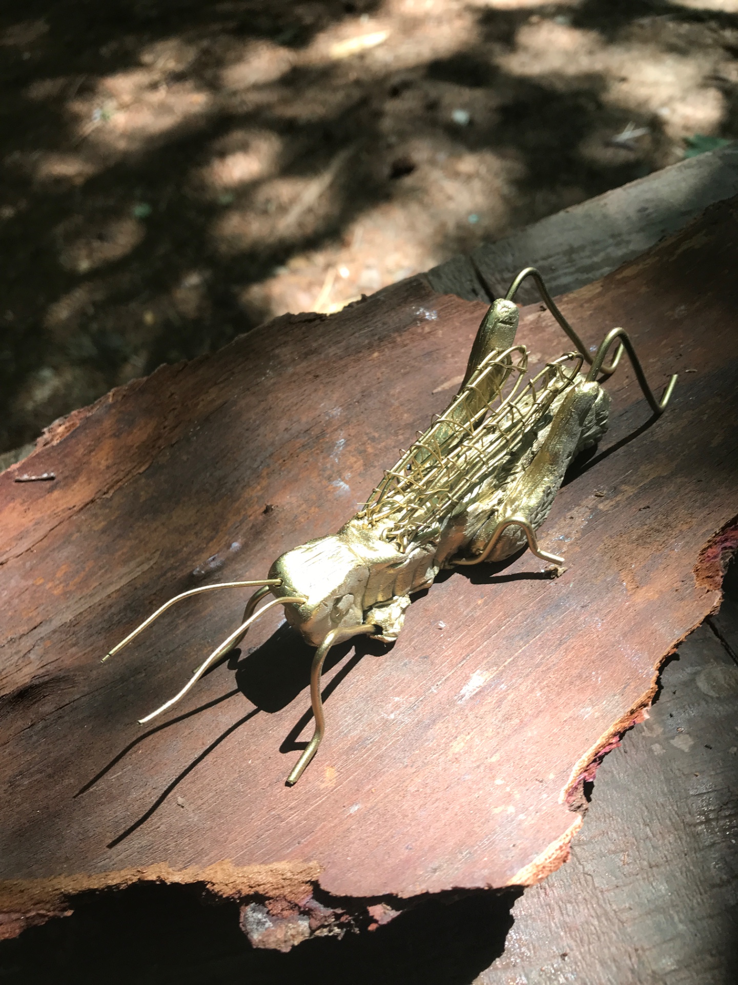 Bug Hunting & sculptures Family workshop - image 4