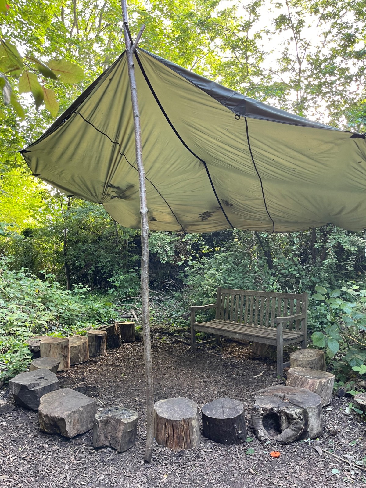 Wilderness Club: Holiday Camps - image 4