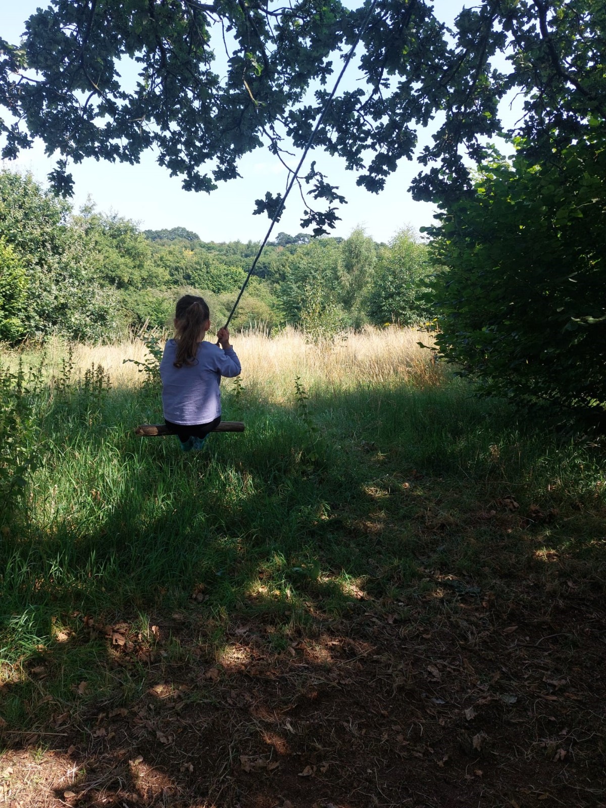 Forest Families - image 2