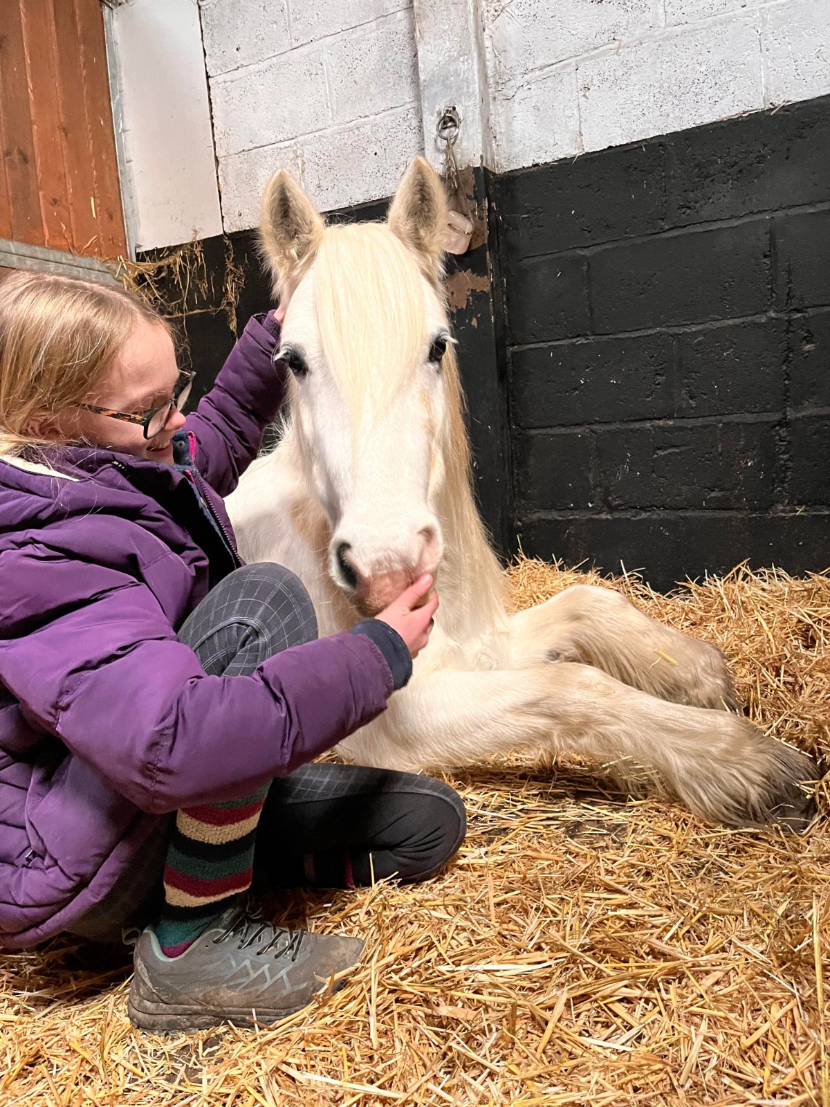 Horse & Pony Experience Day @Howden Equestrian - image 3