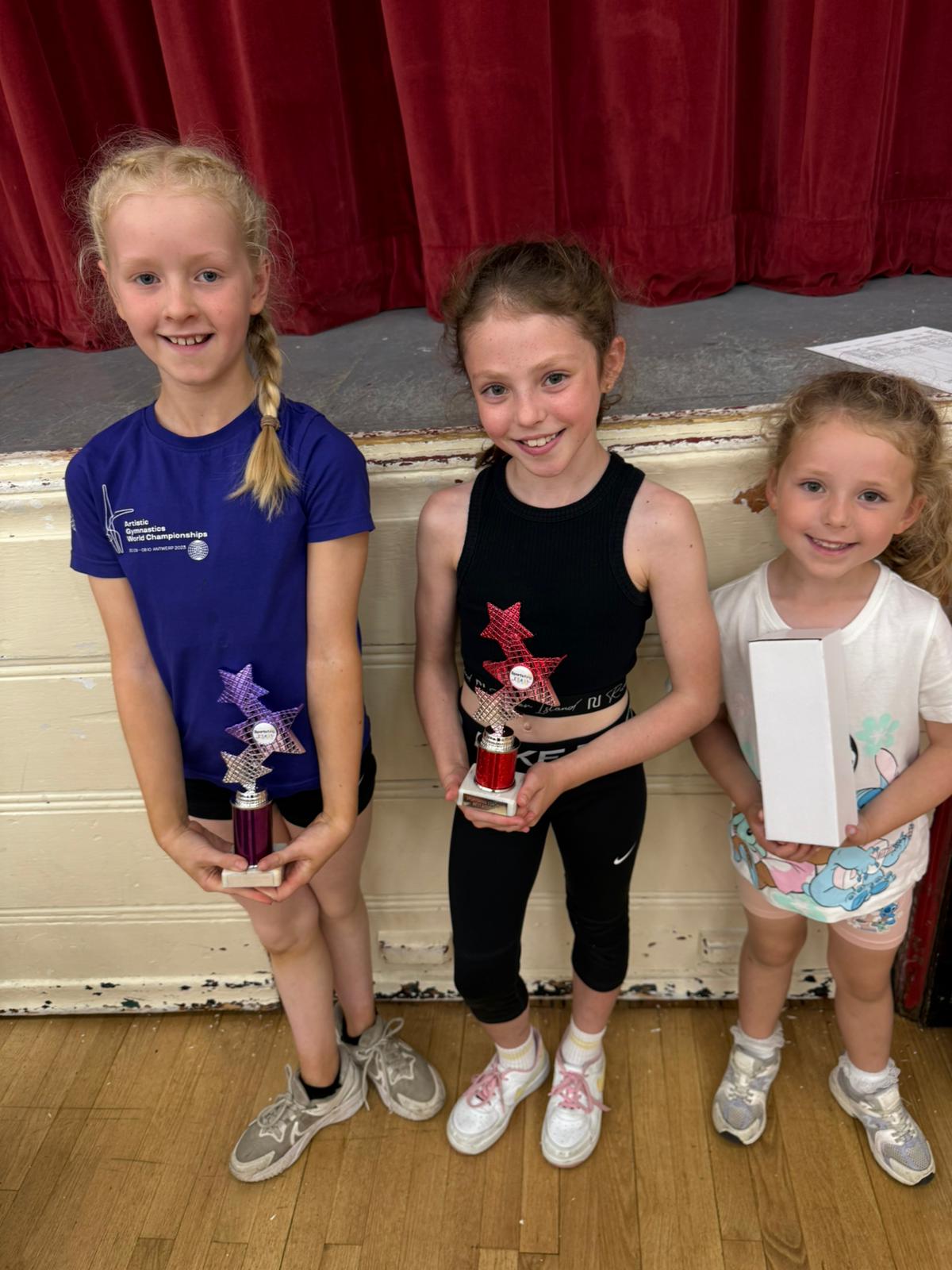 SK  Cheer/Dance Springwell - image 6