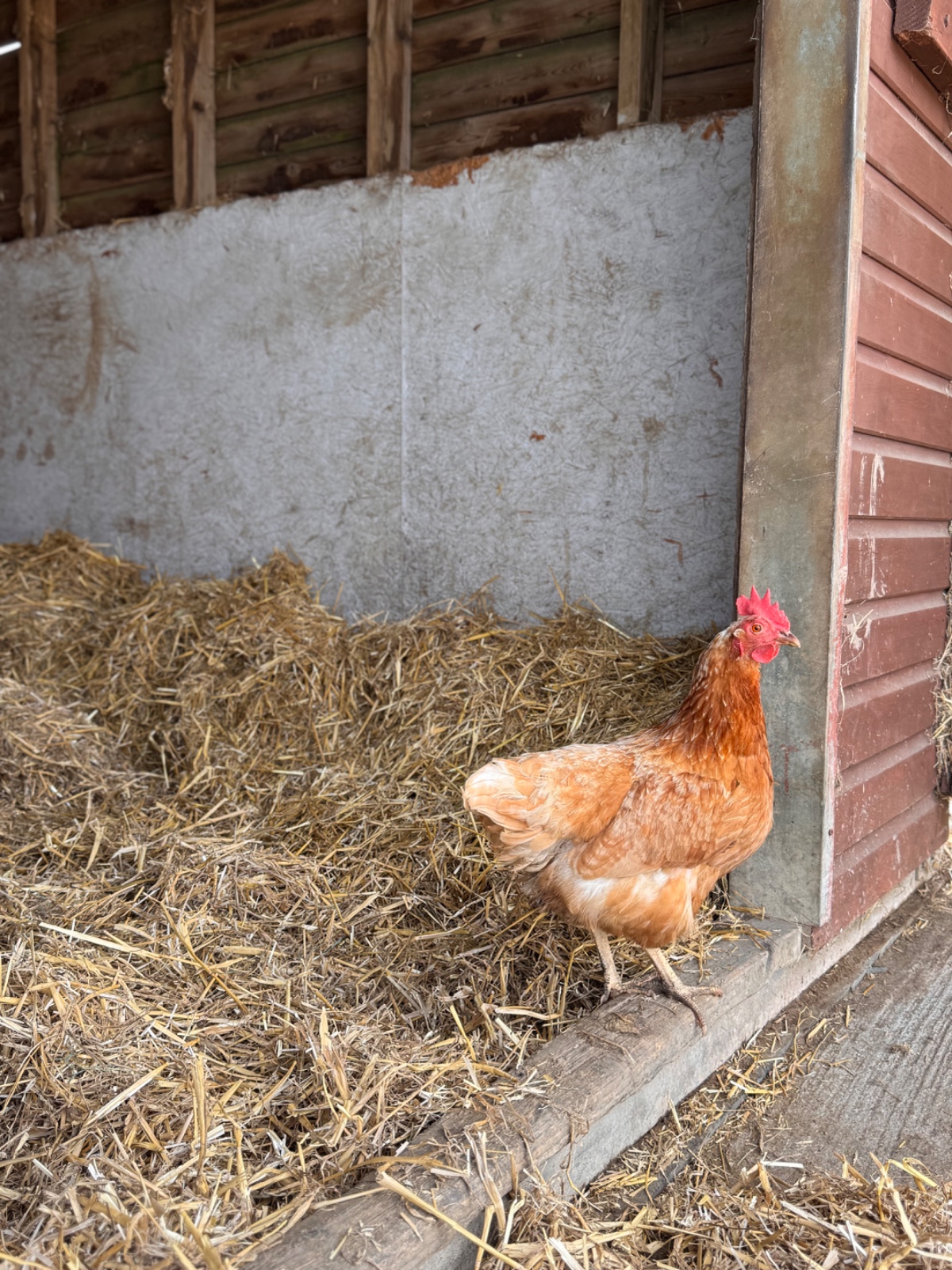 SEND Animal Adventures @ North Ferriby - image 7