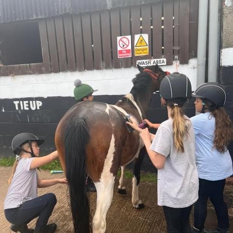 Hundleby Equestrian Centre HAF Club SEND ONLY - image 4