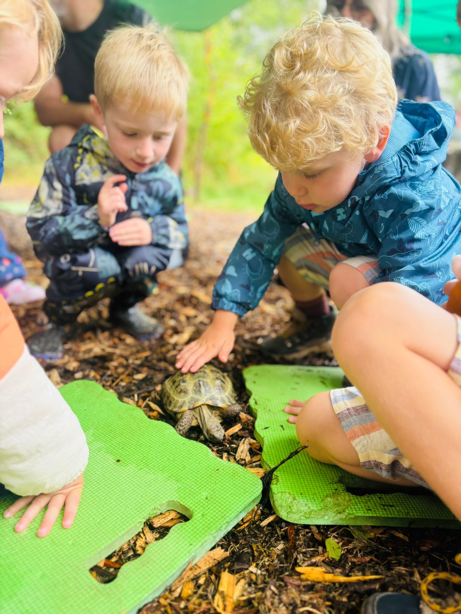 Zoe's Party Animals- HAF holiday club - image 6