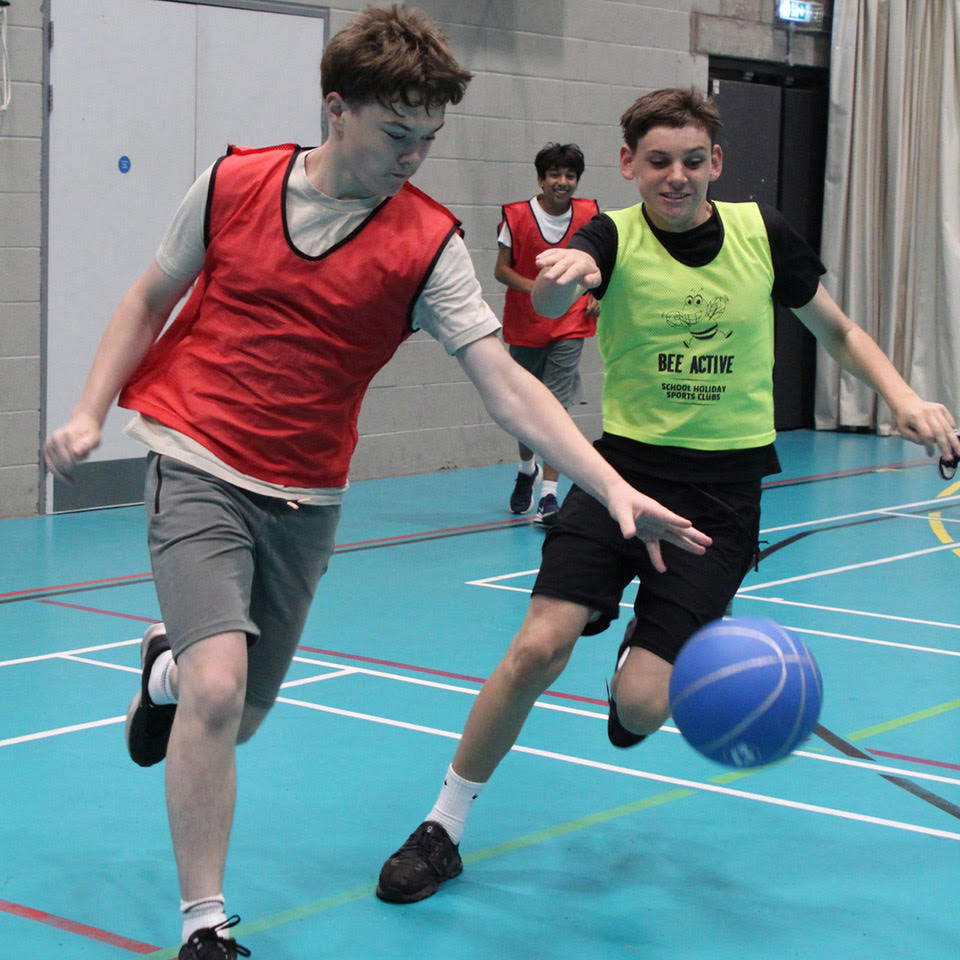 Bee Active – Alsagers Bank Primary - image 4