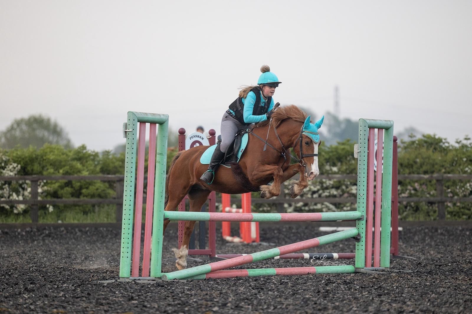 Penshaw Pony Days - image 5