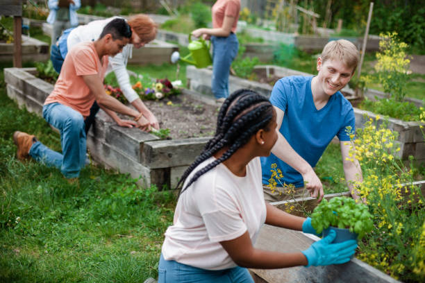 Root 'n' Fruit Gardening Fun HAF Session - image 2