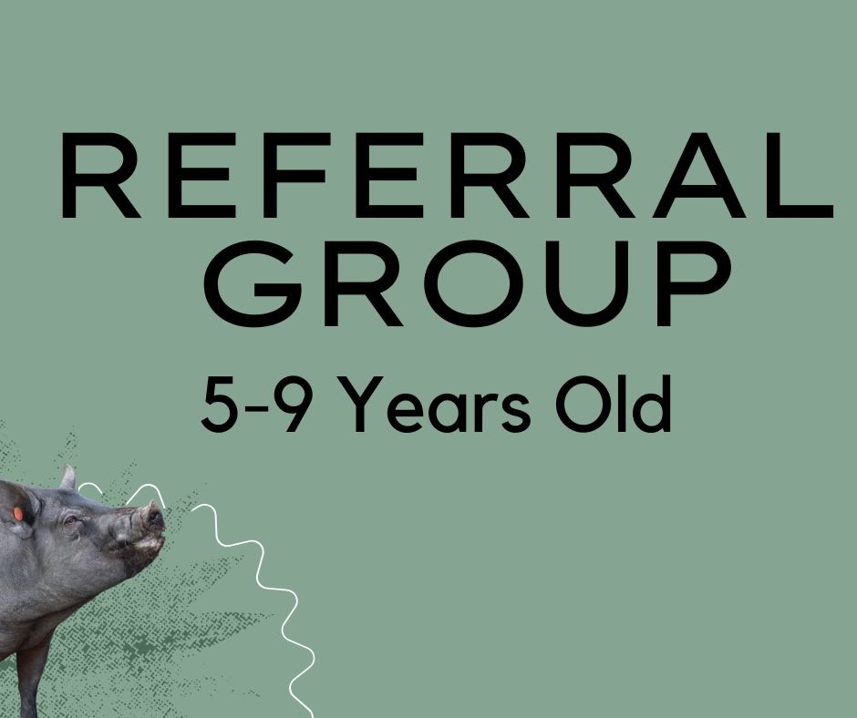 Referral Programme (Primary School age) block mentored by The Woad Farm Project