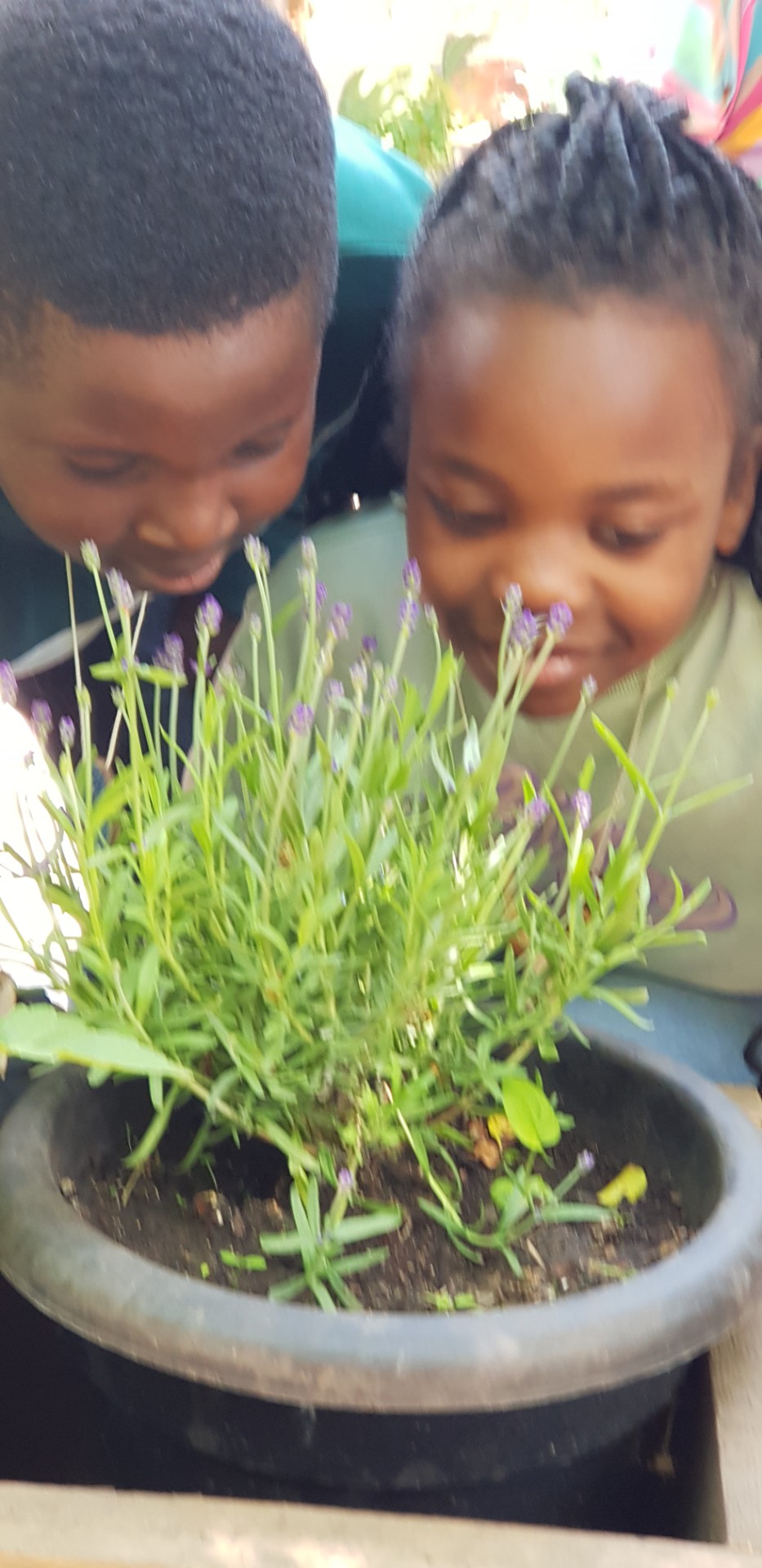 Rotunda - Summer HAF Play Scheme - image 4