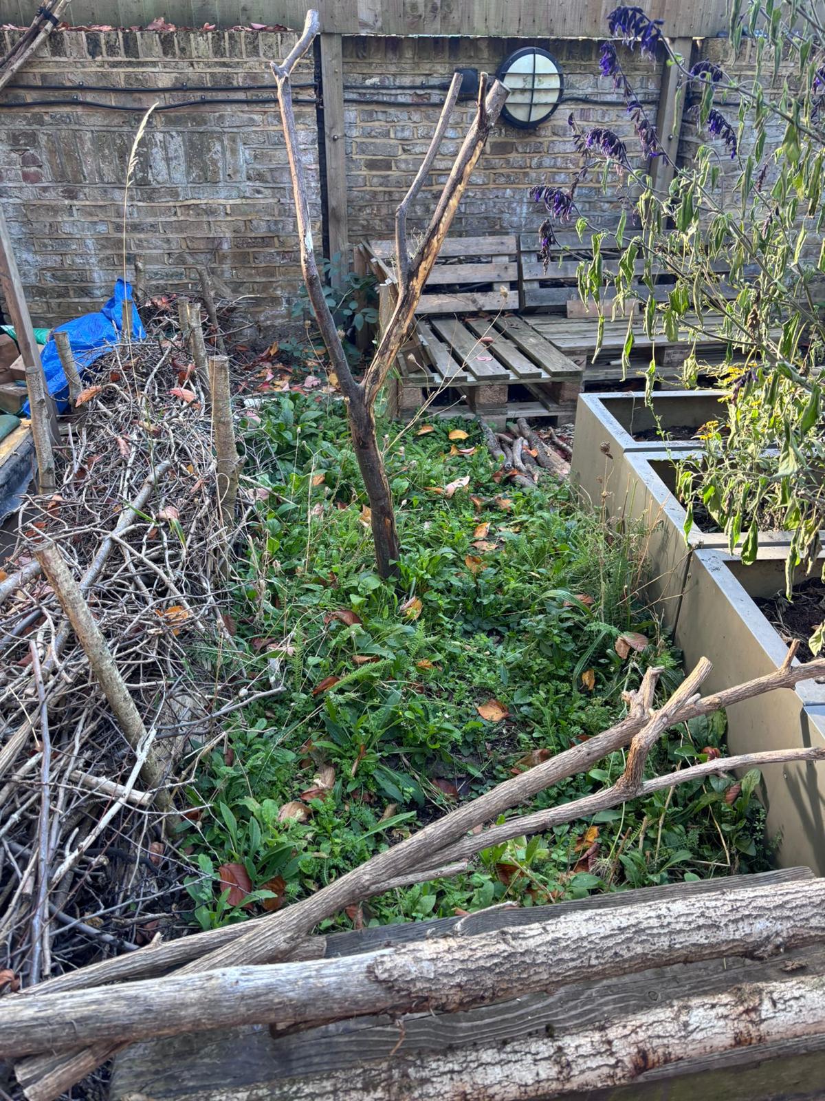 Urban Forest School Meet Up - image 3