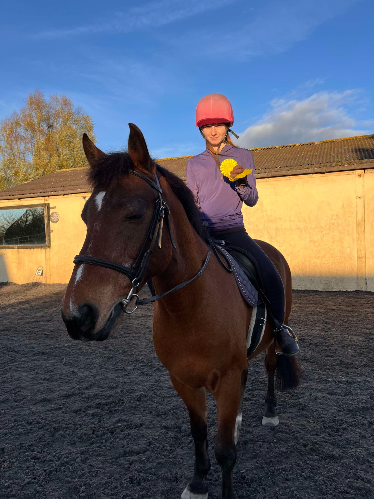 Secondary Horse & Pony Experience @HowdenEques - image 11