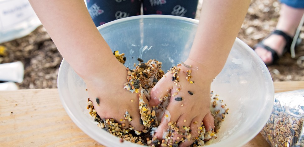 Staffs Wildlife Wildfamilies - image 5