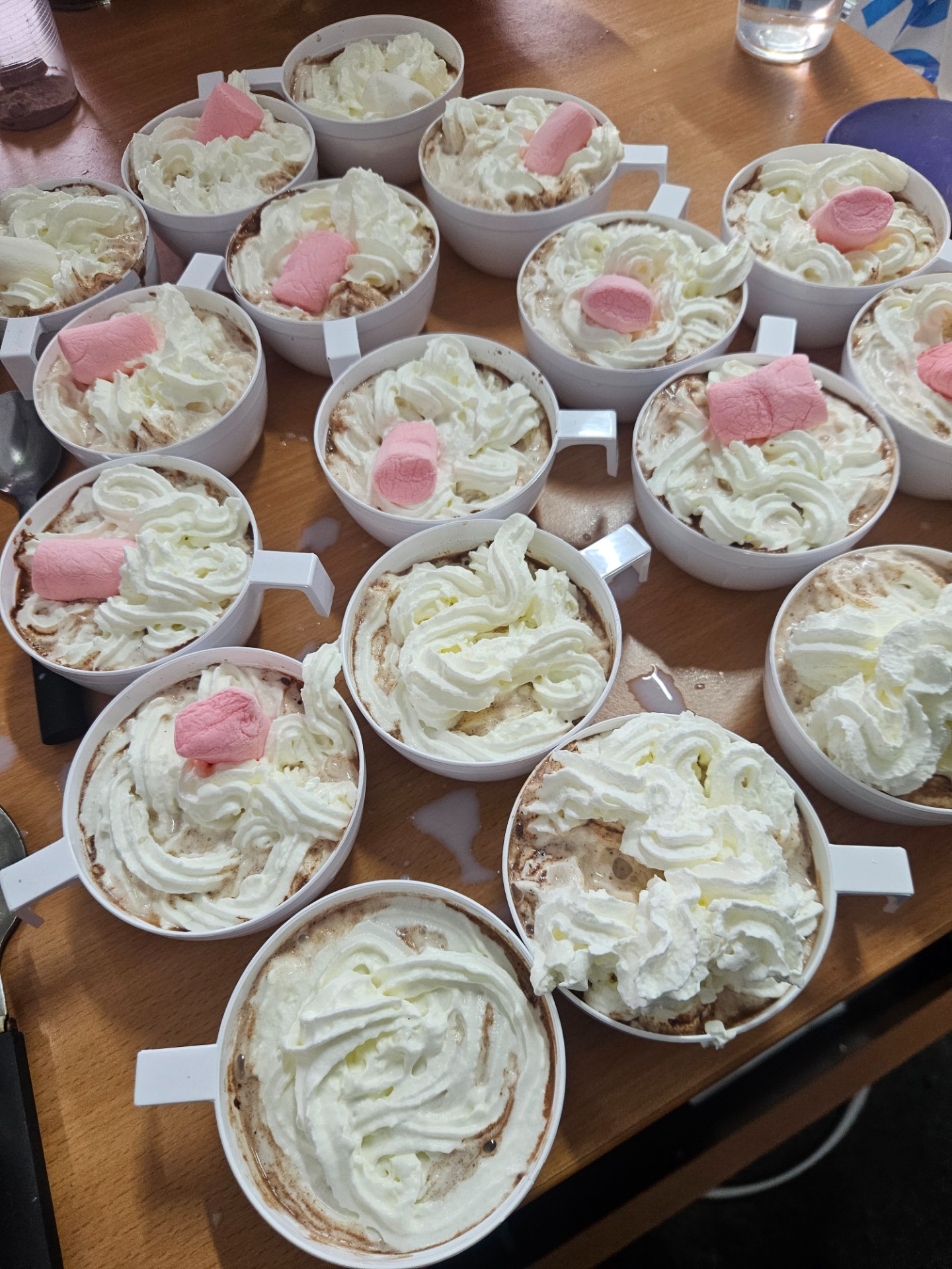 Name It Youth Project 
Wild & Wonder Camp - image 15