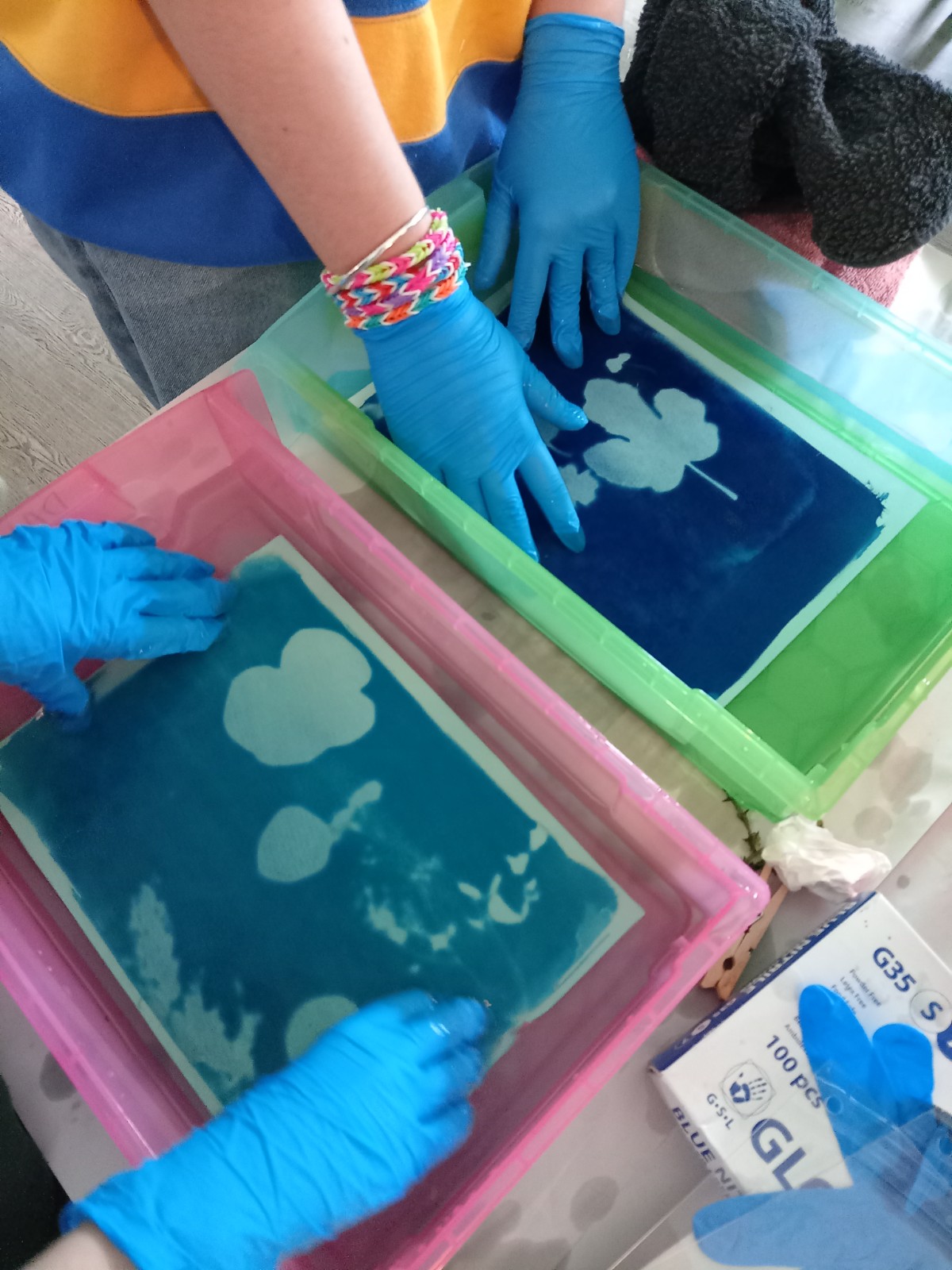 Cyanotype Printing HAF 7 - 11 - image 2
