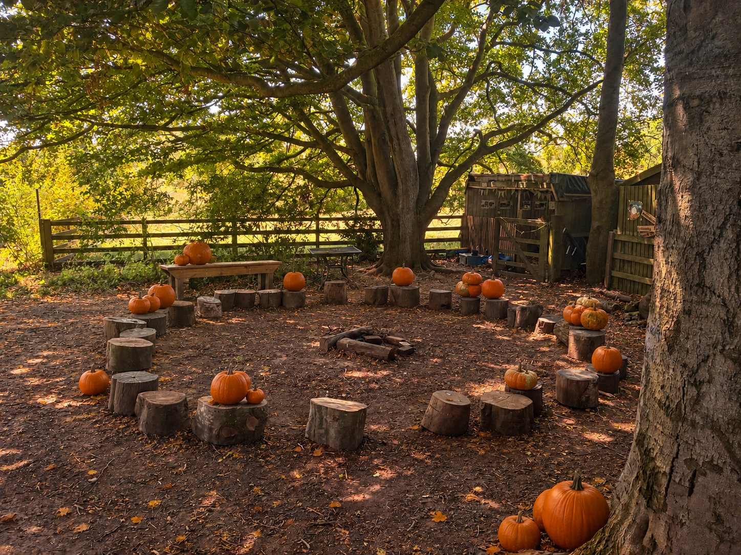 Lichfield Cathedral School, Longdon, WS15 4PT block mentored by Little Sprouts Forest School