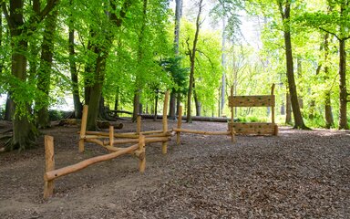 Action for Children Day Trip - Delamere Forest - image 3